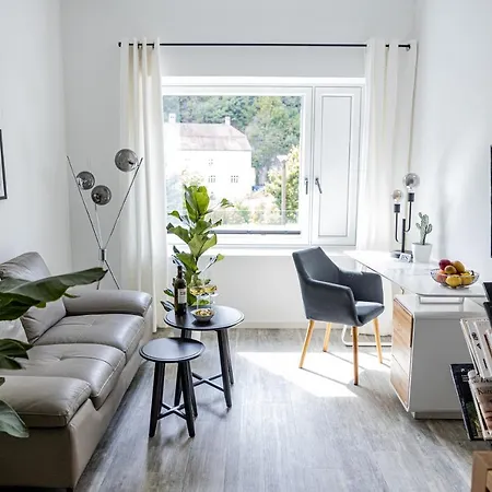 아파트 Bonnystay L Modern L Zentral L Work Space L Kitchen L Smart Tv L Wlan 파사우